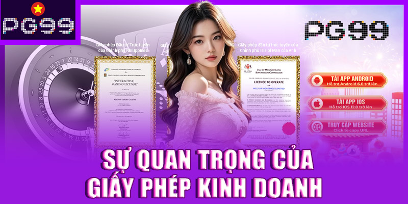 Tại sao giấy phép kinh doanh lại quan trọng với người chơi?
